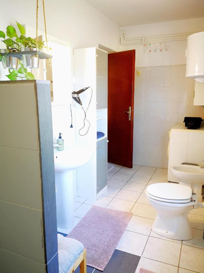 伊佐拉Apartma Premrlova公寓 外观 照片